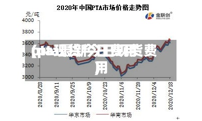 pta现货今日费用(pta最新今日现货费用)-第3张图片