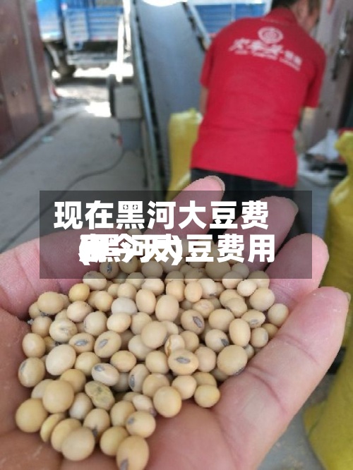 现在黑河大豆费用(黑河大豆费用表今天)-第3张图片