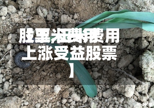 【玉米费用股票,玉米费用上涨受益股票】-第2张图片