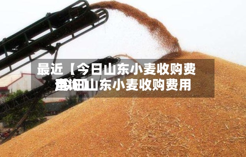 最近【今日山东小麦收购费用,今日山东小麦收购费用查询】