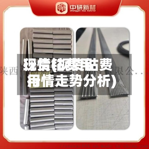 现货钴费用行情(现货钴费用行情走势分析)