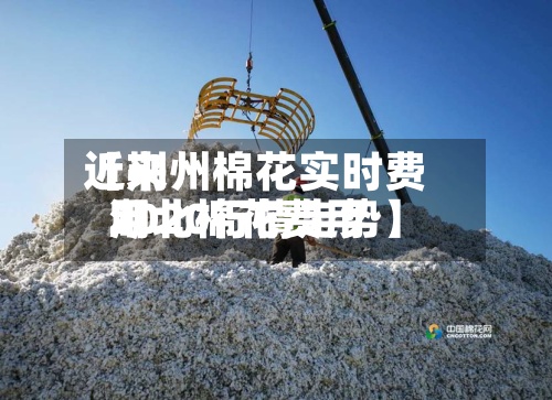 近来【荆州棉花实时费用湖北棉花费用2020行情走势】-第3张图片