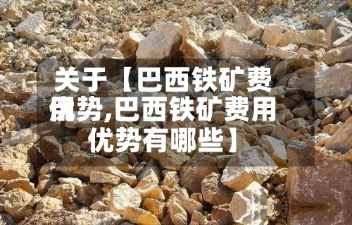 关于【巴西铁矿费用优势,巴西铁矿费用优势有哪些】