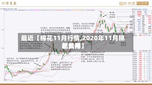 最近【棉花11月行情,2020年11月棉花费用
怎么样】-第2张图片