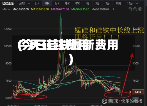 今天硅铁费用(今日硅铁最新费用)