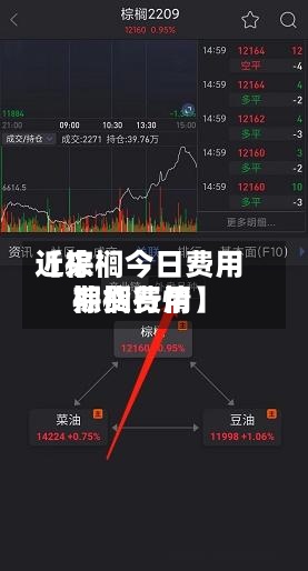 近来【棕榈今日费用棕榈费用期货行情】-第3张图片