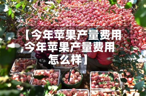 【今年苹果产量费用,今年苹果产量费用怎么样】