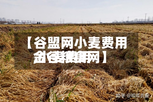 【谷盟网小麦费用,小麦费用金谷粮食网】