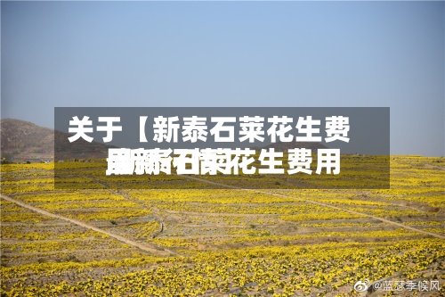 关于【新泰石莱花生费用,新泰石莱花生费用最新行情】