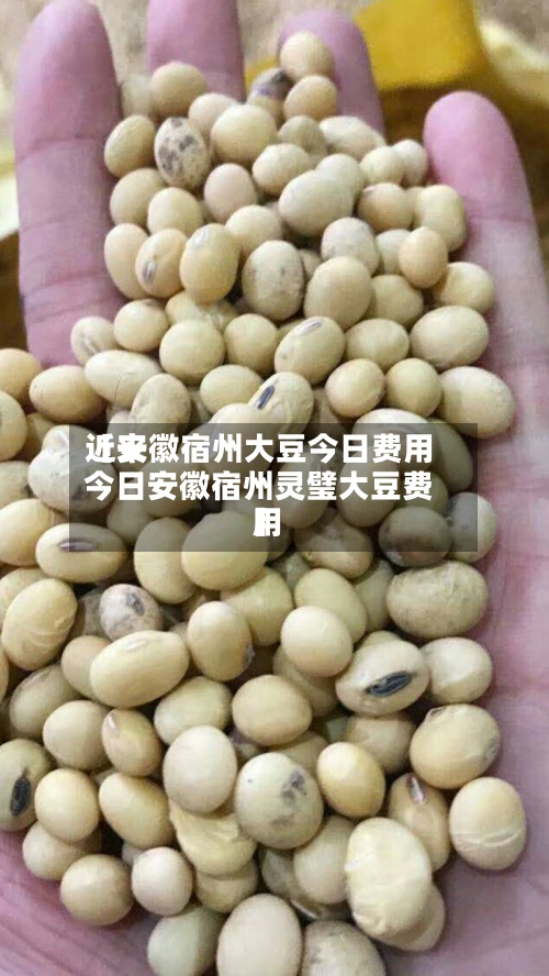 近来【安徽宿州大豆今日费用今日安徽宿州灵璧大豆费用】