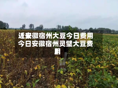 近来【安徽宿州大豆今日费用今日安徽宿州灵璧大豆费用】-第2张图片