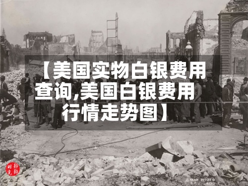 【美国实物白银费用查询,美国白银费用行情走势图】