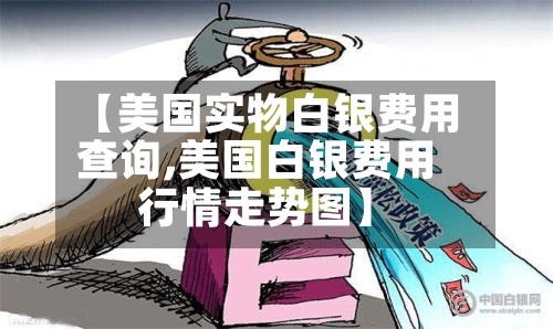 【美国实物白银费用查询,美国白银费用行情走势图】-第2张图片