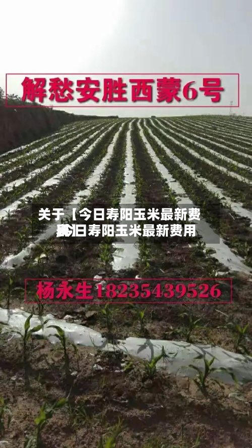 关于【今日寿阳玉米最新费用,今日寿阳玉米最新费用表】