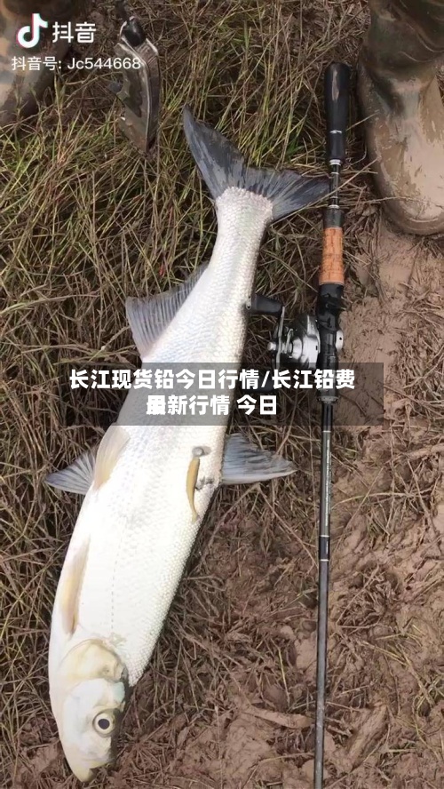 长江现货铅今日行情/长江铅费用
最新行情 今日-第2张图片
