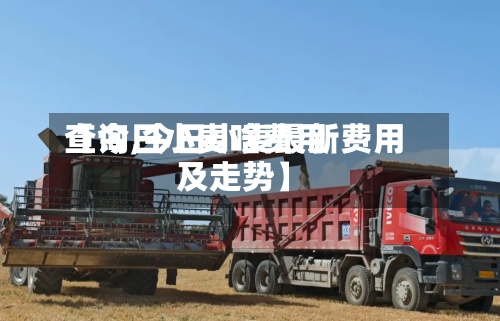 【今日小麦啥费用查询,今日小麦最新费用及走势】-第3张图片