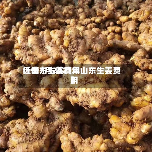 近来【山东生姜费用行情7月2021年山东生姜费用】