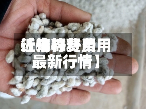 近来
【棉籽费用
行情棉籽费用
最新行情】-第2张图片