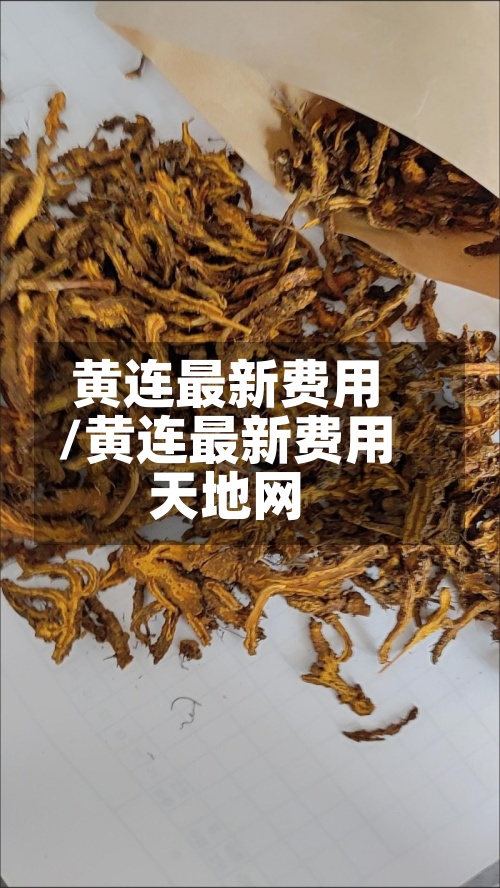 黄连最新费用
/黄连最新费用
天地网-第2张图片