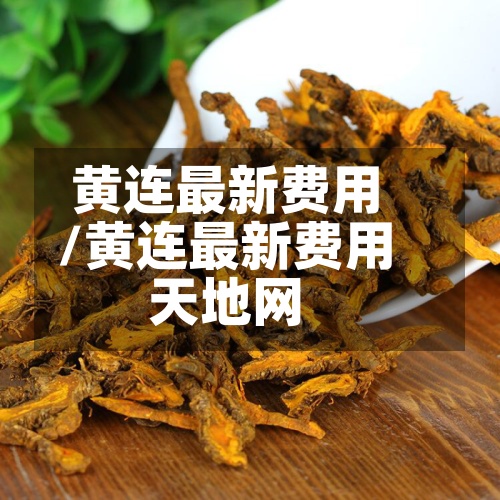 黄连最新费用/黄连最新费用天地网