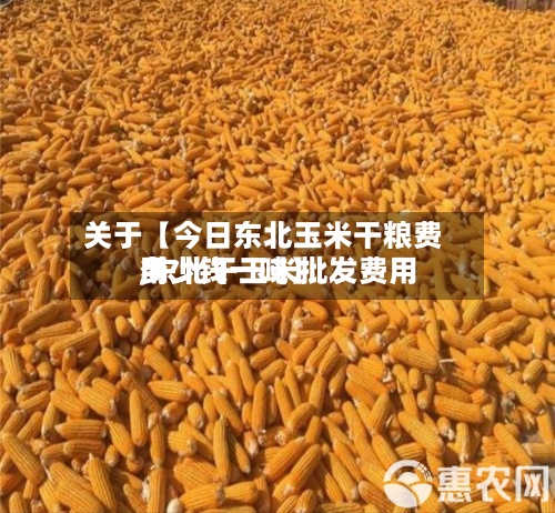关于【今日东北玉米干粮费用
,东北干玉米批发费用
多少钱一吨】-第2张图片