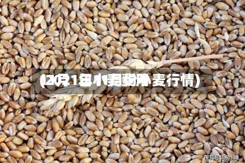 11月1日小麦费用(2021年11月份小麦行情)
