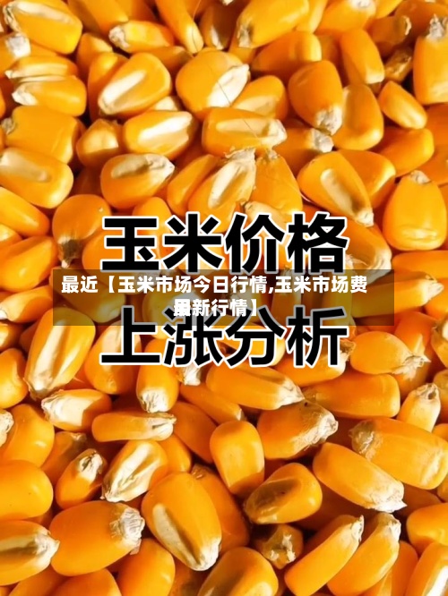 最近【玉米市场今日行情,玉米市场费用
最新行情】-第2张图片