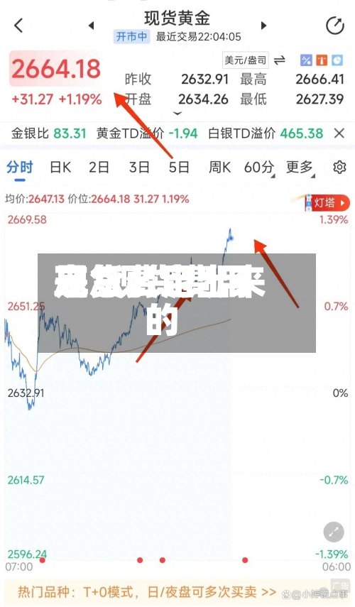 现货费用忘/现货费用是怎么定出来的