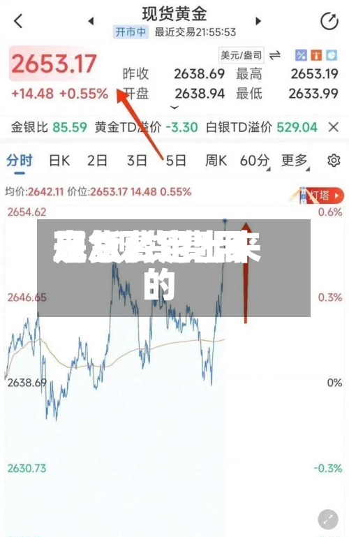 现货费用忘/现货费用是怎么定出来的-第2张图片
