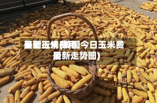 美国玉米费用最新行情(美国今日玉米费用最新走势图)