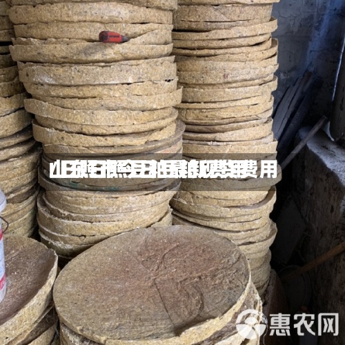 山东日照豆粕最新费用
/日照市今日豆粕现货费用
-第2张图片