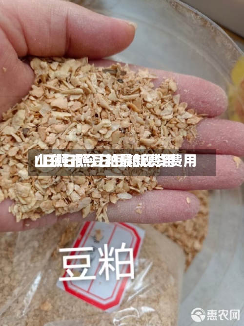 山东日照豆粕最新费用
/日照市今日豆粕现货费用
-第3张图片