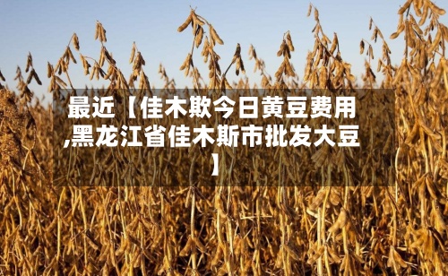 最近【佳木欺今日黄豆费用
,黑龙江省佳木斯市批发大豆】-第3张图片