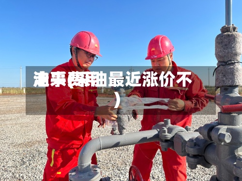 油采费用
走事(采油最近涨价不)-第2张图片