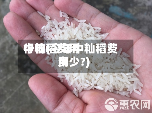 中籼稻费用
行情(今年中籼稻费用
多少?)-第2张图片