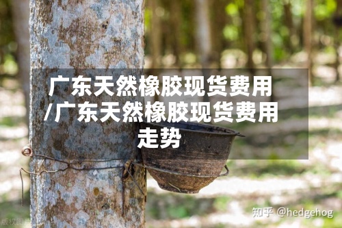 广东天然橡胶现货费用/广东天然橡胶现货费用走势