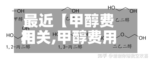 最近【甲醇费用相关,甲醇费用相关文章】