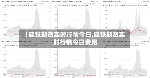 【硅铁期货实时行情今日,硅铁期货实时行情今日费用】