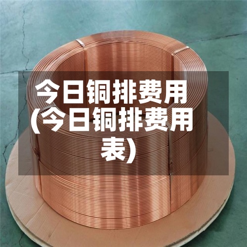今日铜排费用
(今日铜排费用
表)-第2张图片