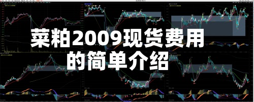 菜粕2009现货费用的简单介绍