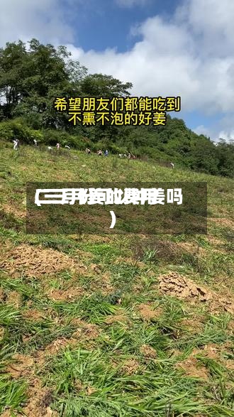 二三月姜的费用(三月份可以种姜吗)