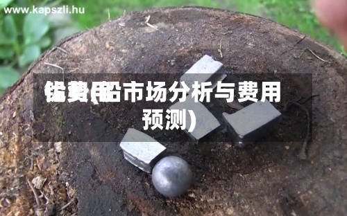 铅费用
优势(铅市场分析与费用
预测)-第3张图片