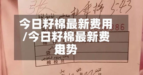 今日籽棉最新费用
/今日籽棉最新费用
走势-第2张图片
