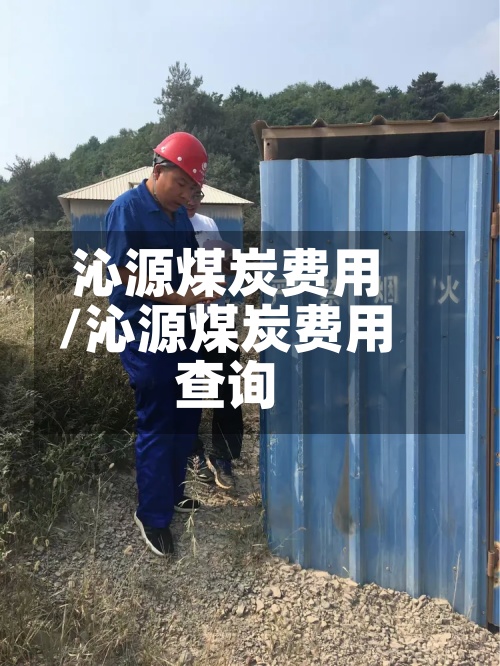 沁源煤炭费用
/沁源煤炭费用
查询-第3张图片