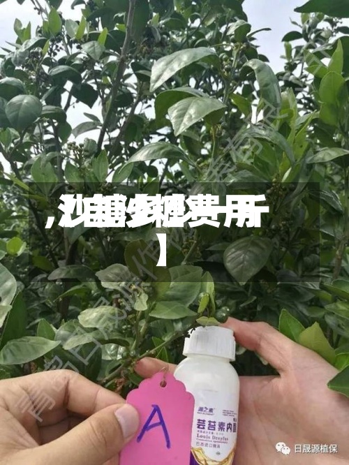 【自沙糖费用
,沙糖多少一斤】-第2张图片