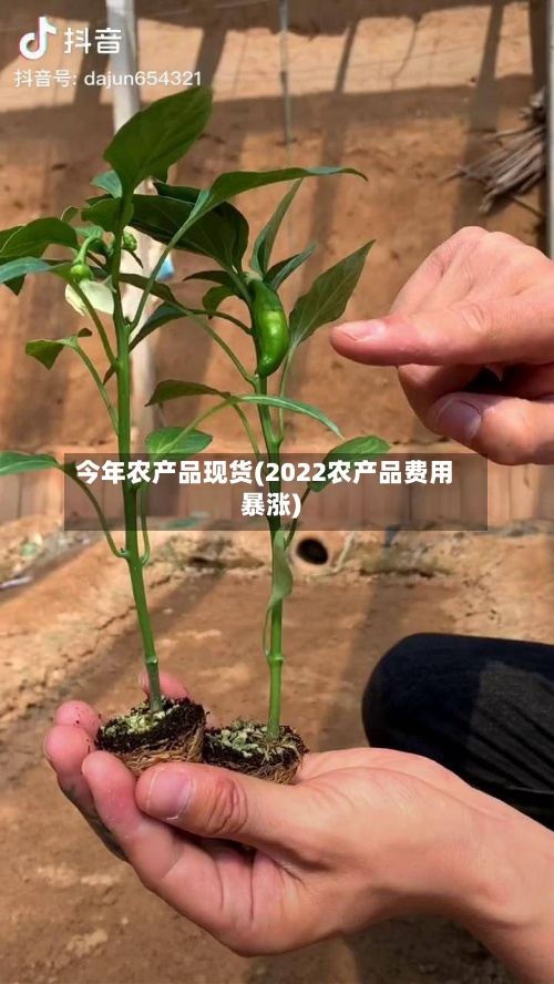 今年农产品现货(2022农产品费用暴涨)