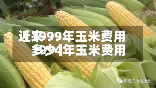 近来【1999年玉米费用1994年玉米费用多少】