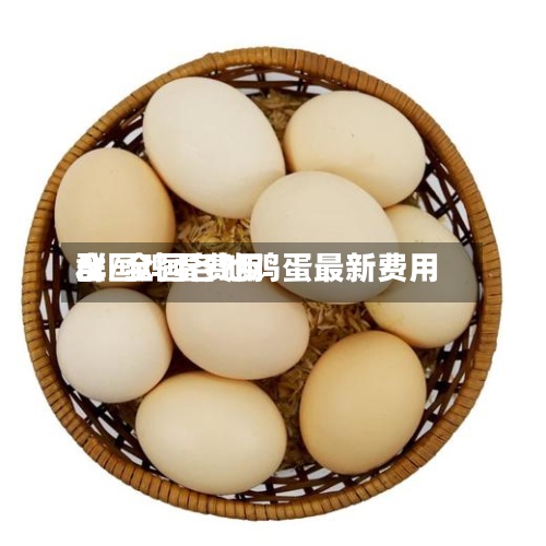 全国鸡蛋费用
群/全国各地鸡蛋最新费用
-第3张图片