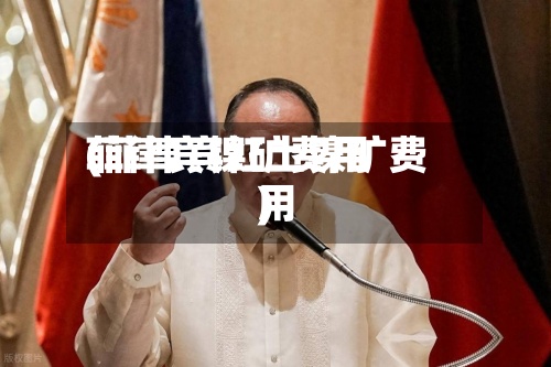 菲律宾镍矿费用(菲律宾红土镍矿费用)