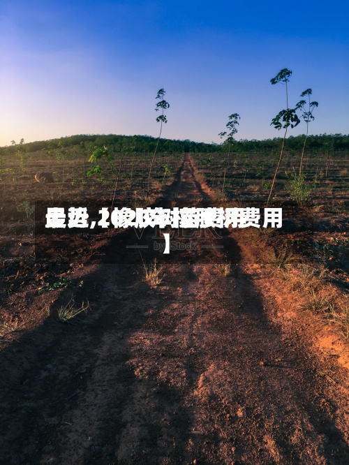 最近【橡胶树苗费用走势,2020年橡胶树费用】
